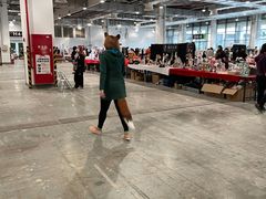 -东浩兰生上海世博展览馆