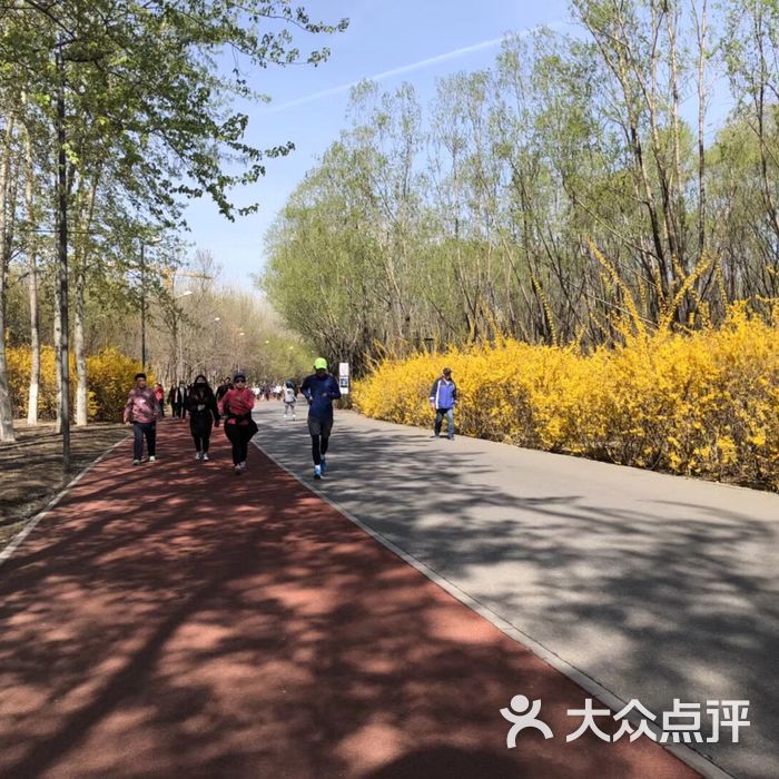 北京奧林匹克公園