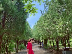 -青州市云门山风景区