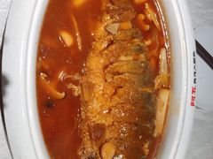 红烧黄河鲤鱼-阿五黄河大鲤鱼(英协路店)