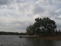 -东郊湿地公园