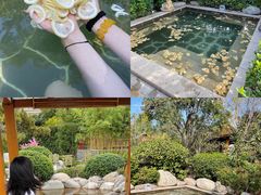 -郑州银基黄帝宫御温泉