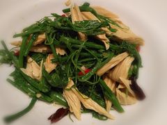 腐竹丝瓜尖-百富源·海鲜辽菜(和平北大街店)