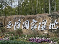 -西溪国家湿地公园