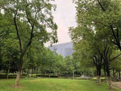 -天鹅湖体育公园