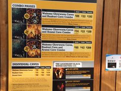 -怀托摩萤火虫洞