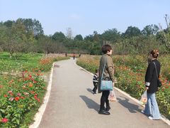 -桤木河湿地公园