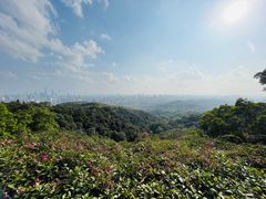 -广州市白云山风景名胜区