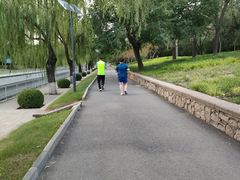 -元大都城垣遗址公园