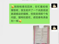 -成都民大动物医院
