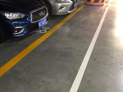 -白玉兰广场停车场