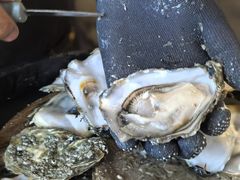 -斯普汇生蚝牛排馆(中骏世界城店)