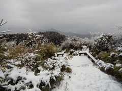 -武陵山森林公园