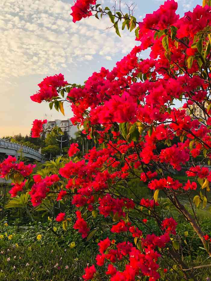 梅山公园-"每一张笑容的背后,都有一段故事. ."-大众点评移动版