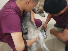 -美迦爱-牙专科·兔科·骨科诊疗中心(北苑店)