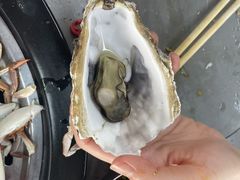 -仙螺岛海鲜自助餐厅(总店)