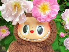 -长阳创谷