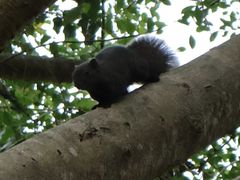 -南宁良凤江国家森林公园