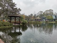 -成飞公园