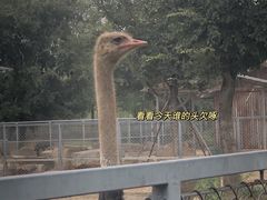 -上方山森林动物世界
