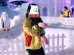 -世界之窗阿尔卑斯冰雪世界