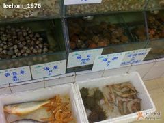 海鲜-海岛渔村大酒店(云霄路店)