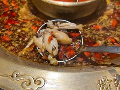 -哥老官重庆美蛙鱼头(松江地中海十八哥店)