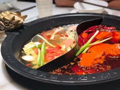-孙毛肚火锅(春熙路店)