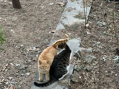 -四门塔风景区