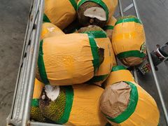 -东方鼎信农副产品交易中心