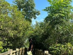 -桤木河湿地公园