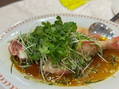 -凤城礼记鱼翅海鲜酒家(新马路总店)