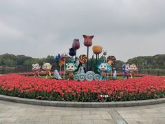 -上海鲜花港
