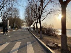 -丁香湖公园