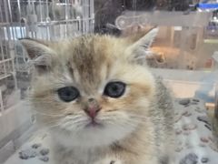 -罗森便利店(鱼市街店)