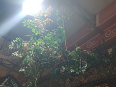 -和源祥·日照菜扛把子(万平口一店)