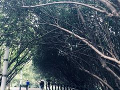 -苏州河梦清园环保主题公园