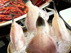 -来涮蜀鲜货火锅串串香(菜市口店)