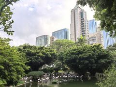 -九龙公园