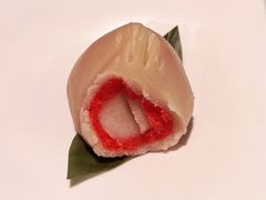 -青山研究所Aoyama Lab