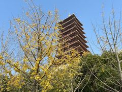 -牛首山文化旅游区