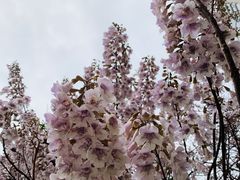 -红星桥(地铁站)