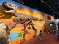 -北京科学中心儿童乐园