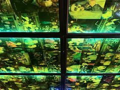-丽纳尔斯酒吧LENORE’S BAR(三经街店)