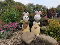 -上海共青森林公园