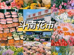 -海埂大坝