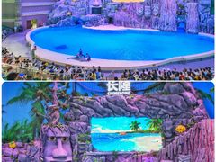 -珠海长隆海洋王国