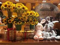 -惠州惠阳丽景国际花园酒店(市政广场店)