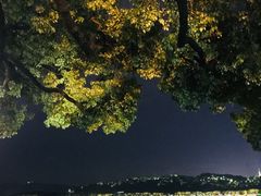 -西湖天地