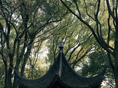 -上海方塔园